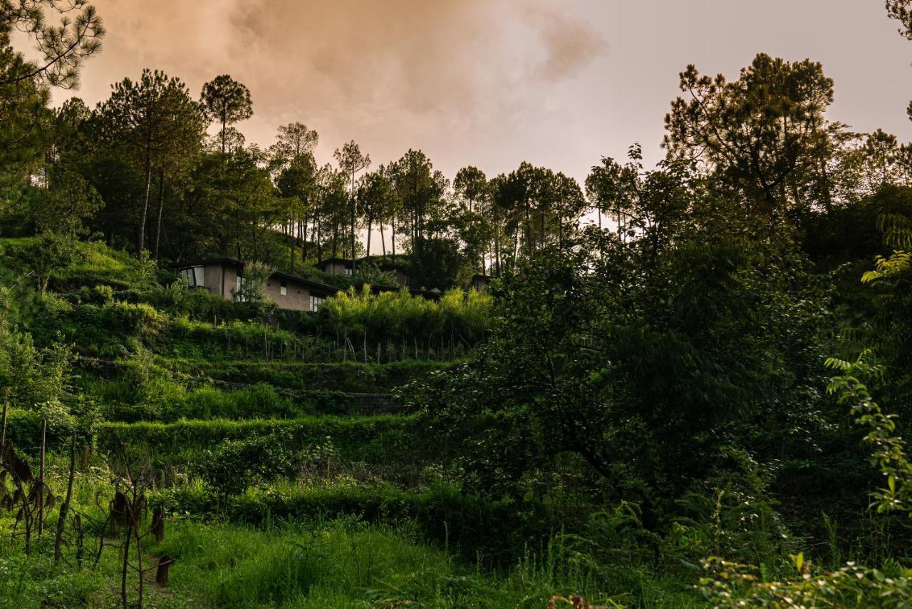 Amaya Kasauli Exterior photo